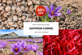 Starter Patch– 24 Large Corms Most Popular