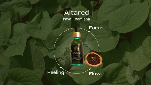 Altared ✦ Kava + Damiana Tincture