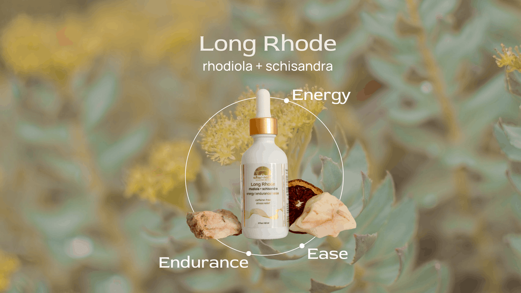 Long Rhode ⟡ Rhodiola + Schisandra Adaptogen Drops
